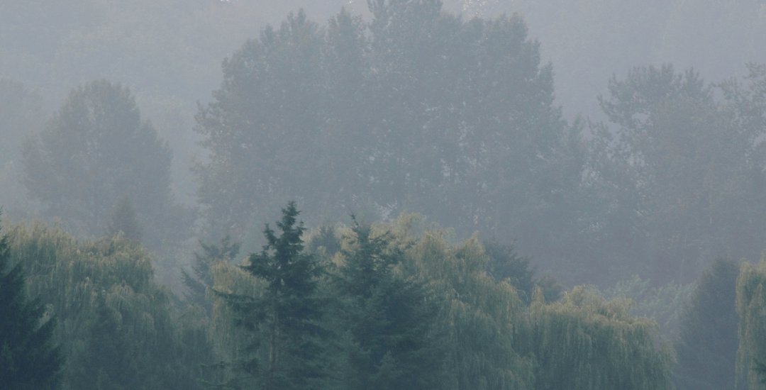 Haze reduces visibility across trees and fields in St. Thomas, Ontario, during poor outdoor air-quality conditions.